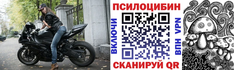 закладка  Курлово  Галлюциногенные грибы Psilocybine cubensis 