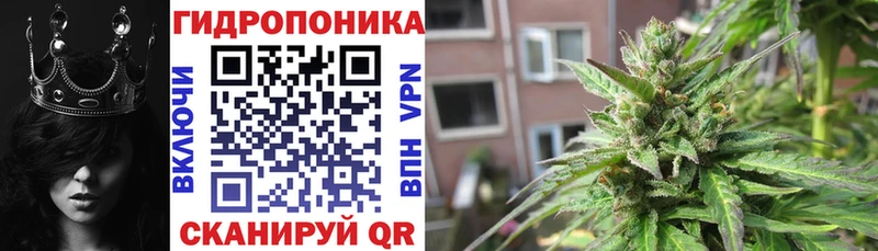 Марихуана AK-47  МЕГА сайт  даркнет клад  купить наркотики сайты  Курлово 